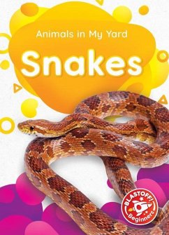 Snakes - McDonald, Amy