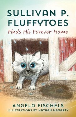 Sullivan P. Fluffytoes Finds His Forever Home - Fischels, Angela