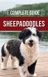 The Complete Guide to Sheepadoodles - Bild 1
