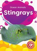 Stingrays