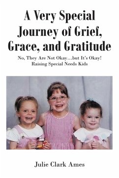 A Very Special Journey of Grief, Grace, and Gratitude - Ames, Julie Clark