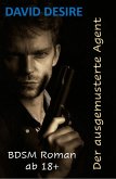 Der ausgemusterte Agent (eBook, ePUB) Der ausgemusterte Agent (eBook, ePUB)