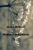 Rosszul megítélve (eBook, ePUB)