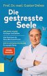 Die gestresste Seele (eBook, ePUB) - Bild 1