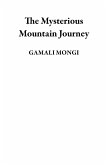 The Mysterious Mountain Journey (eBook, ePUB)