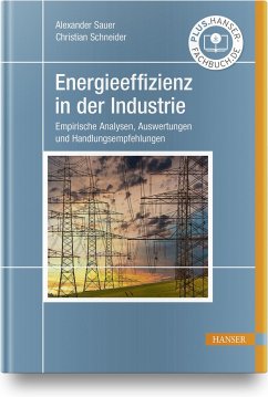 Energieeffizienz in der Industrie - Sauer, Alexander;Schneider, Christian