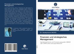 Finanzen und strategisches Management - SACKO, Dr. Souleymane