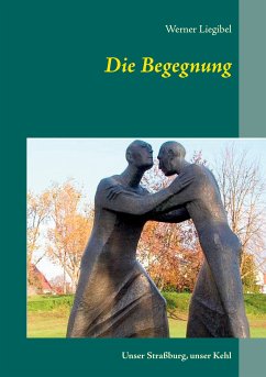 Die Begegnung (eBook, ePUB)