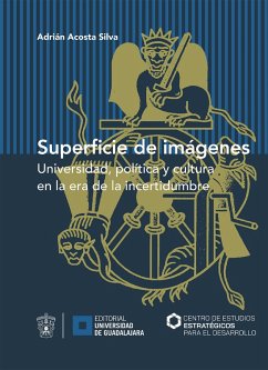 Superficie de imágenes (eBook, ePUB) - Acosta Silva, Adrián