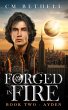 Forged In Fire Book Two - Ayden (The... - Bild 1