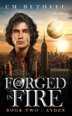 Forged In Fire Book Two - Ayden (The Guardian Series, #2) (eBook, ePUB)