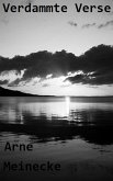 Verdammte Verse (eBook, ePUB)