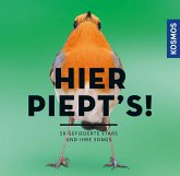 Hier piept's! - Gefiederte Stars und ihre Songs