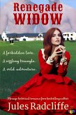 Renegade Widow (eBook, ePUB)