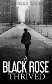 A Black Rose Thrived (eBook, ePUB)
