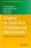 A Course on Small Area Estimation and Mixed Models