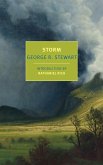 Storm (eBook, ePUB)