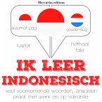 Ik leer Indonesisch (MP3-Download)