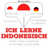 Ich lerne Indonesisch (MP3-Download)