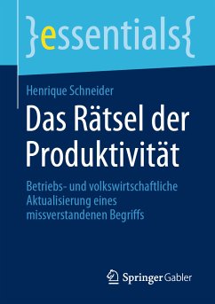 Das Rätsel der Produktivität (eBook, PDF) - Schneider, Henrique