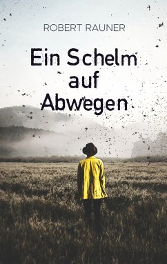 Ein Schelm auf Abwegen (eBook, ePUB) - Rauner, Robert