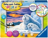 Ravensburger 28779 - Malen nach Zahlen, Niedliche Robben, Malset