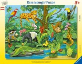 Ravensburger 05140 - Tiere im Regenwald, Rahmenpuzzle, 11 Teile