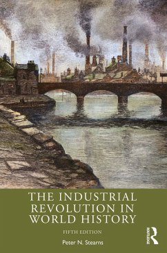 The Industrial Revolution in World History (eBook, ePUB) - Stearns, Peter N.