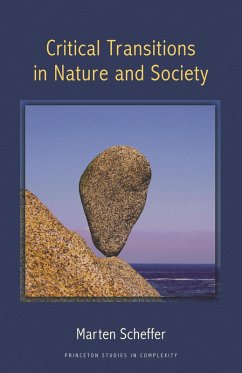 Critical Transitions in Nature and Society (eBook, ePUB) - Scheffer, Marten
