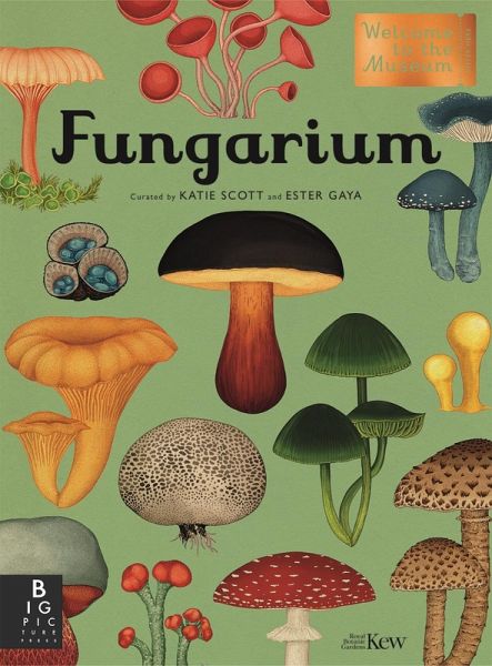 Fungarium (eBook, ePUB)