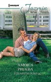 Amor a prueba (eBook, ePUB)