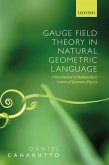 Gauge Field Theory in Natural Geometric Language (eBook, PDF)