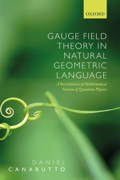 Gauge Field Theory in Natural Geometric Language (eBook, PDF) - Canarutto, Daniel
