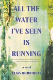 All the Water I've Seen Is Running: A Novel (eBook, ePUB)