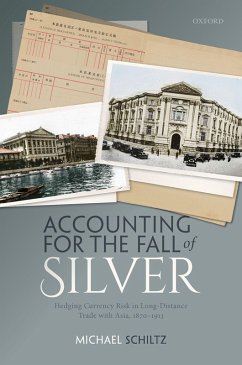 Accounting for the Fall of Silver (eBook, ePUB) - Schiltz, Michael