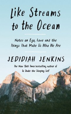 Like Streams to the Ocean (eBook, ePUB) - Jenkins, Jedidiah