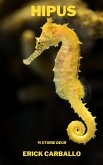 Hipus (eBook, ePUB)
