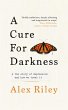 A Cure for Darkness - Bild 1