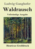 Waldrausch (Großdruck)