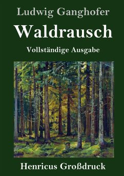 Cover Waldrausch (Großdruck)