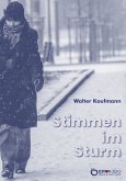 Stimmen im Sturm (eBook, PDF)