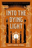 Into the Dying Light (eBook, ePUB)