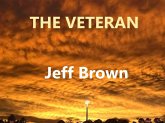 The Veteran (eBook, ePUB)