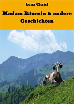 Madam Bäuerin & andere Geschichten (eBook, ePUB) - Christ, Lena