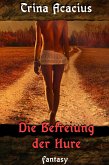 Die Befreiung der Hure (eBook, ePUB)