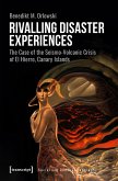 Rivalling Disaster Experiences (eBook, PDF)