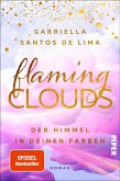 Flaming Clouds - Der Himmel in deinen Farben / Above the Clouds Bd.1