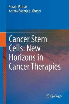 Cover Cancer Stem Cells: New Horizons in Cancer Therapies (eBook, PDF)