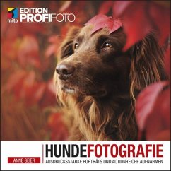 Hundefotografie (eBook, PDF) - Geier, Anne