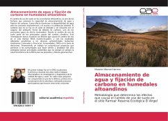 Almacenamiento de agua y fijación de carbono en humedales altoandinos - Villarroel Herrera, Marjorie